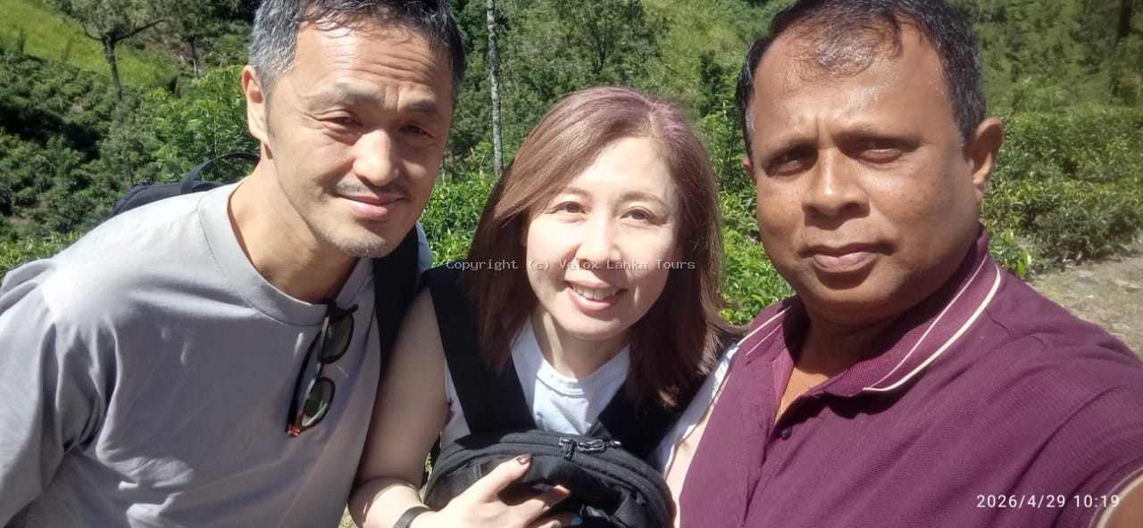 Kandy Tour