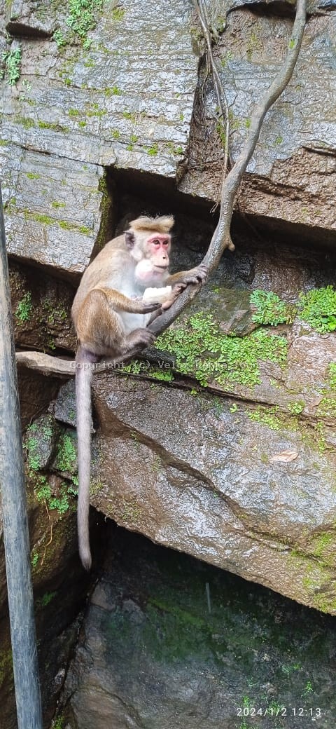 Sri Lanka tour photo