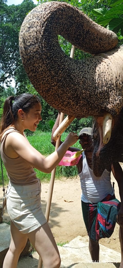 Sri Lanka tour photo