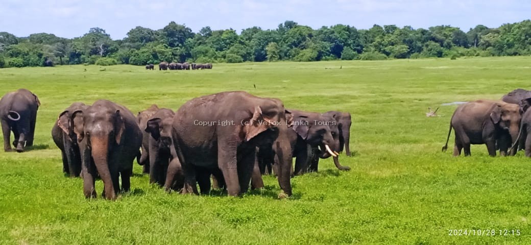 Sri Lanka tour photo