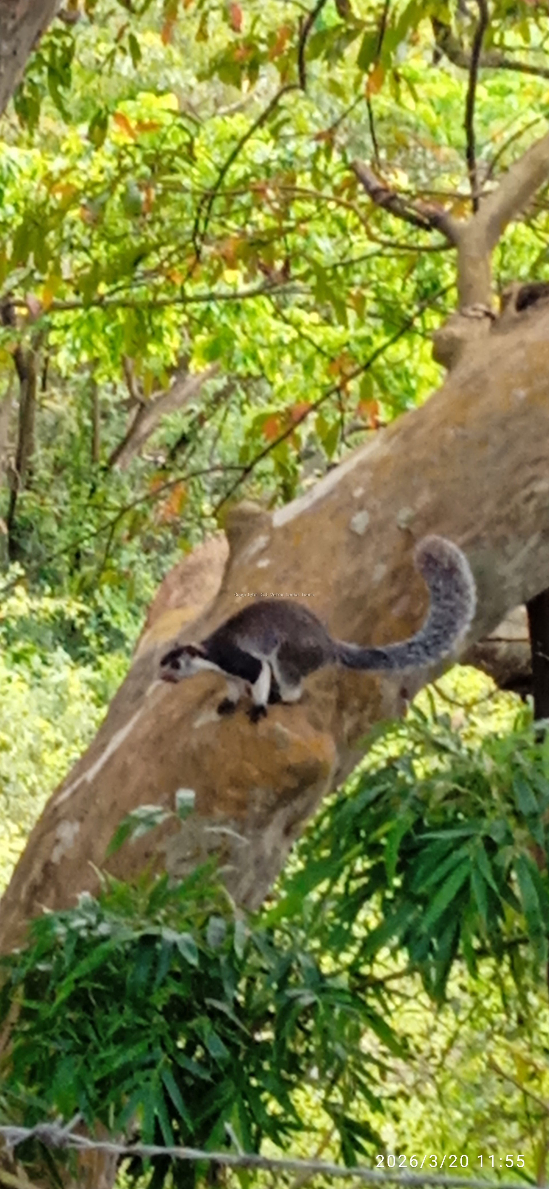 Sri Lanka tour photo