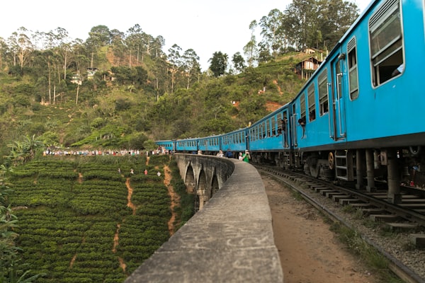 Blue train at Nine Arches Bridge