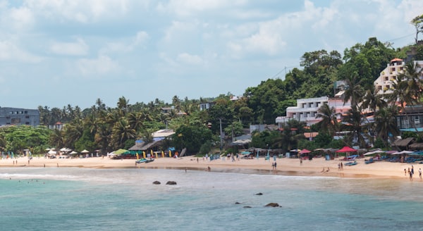 Mirissa beach palms